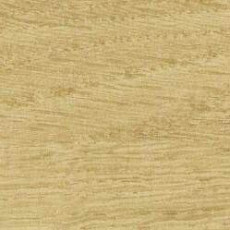 Линолеум Taralay Initial Comfort 0024 Chamois фото 1 | FLOORDEALER